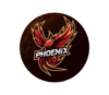 Lowongan Kerja Host Live di Phoenix Management