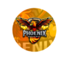 Lowongan Kerja Perusahaan Phoenix Management