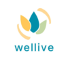 Lowongan Kerja Finance – General Affair – Supply Chain – Sales & Marketing – Content Illustrator di Wellive