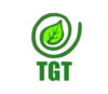Loker The Green Tea