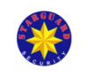 Loker Starguard Security