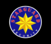 Lowongan Kerja Manager Operasional – Marketing – Security di PT. Raksa Gamma Multidimensi Security (Starguard Security)