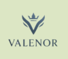 Lowongan Kerja Live Digital Interaction – Digital Live Expert di Valenor Live In
