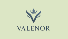Lowongan Kerja Live Digital Interaction – Digital Live Expert di Valenor Live In - Bandung