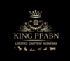 Lowongan Kerja Digital Marketing & Desainer Grafis di King Ppabn