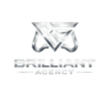 Lowongan Kerja Host Live Streaming Game di Brilliant Agency