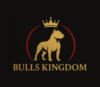Lowongan Kerja Kennel Boy – Supir di Bulls Kingdom
